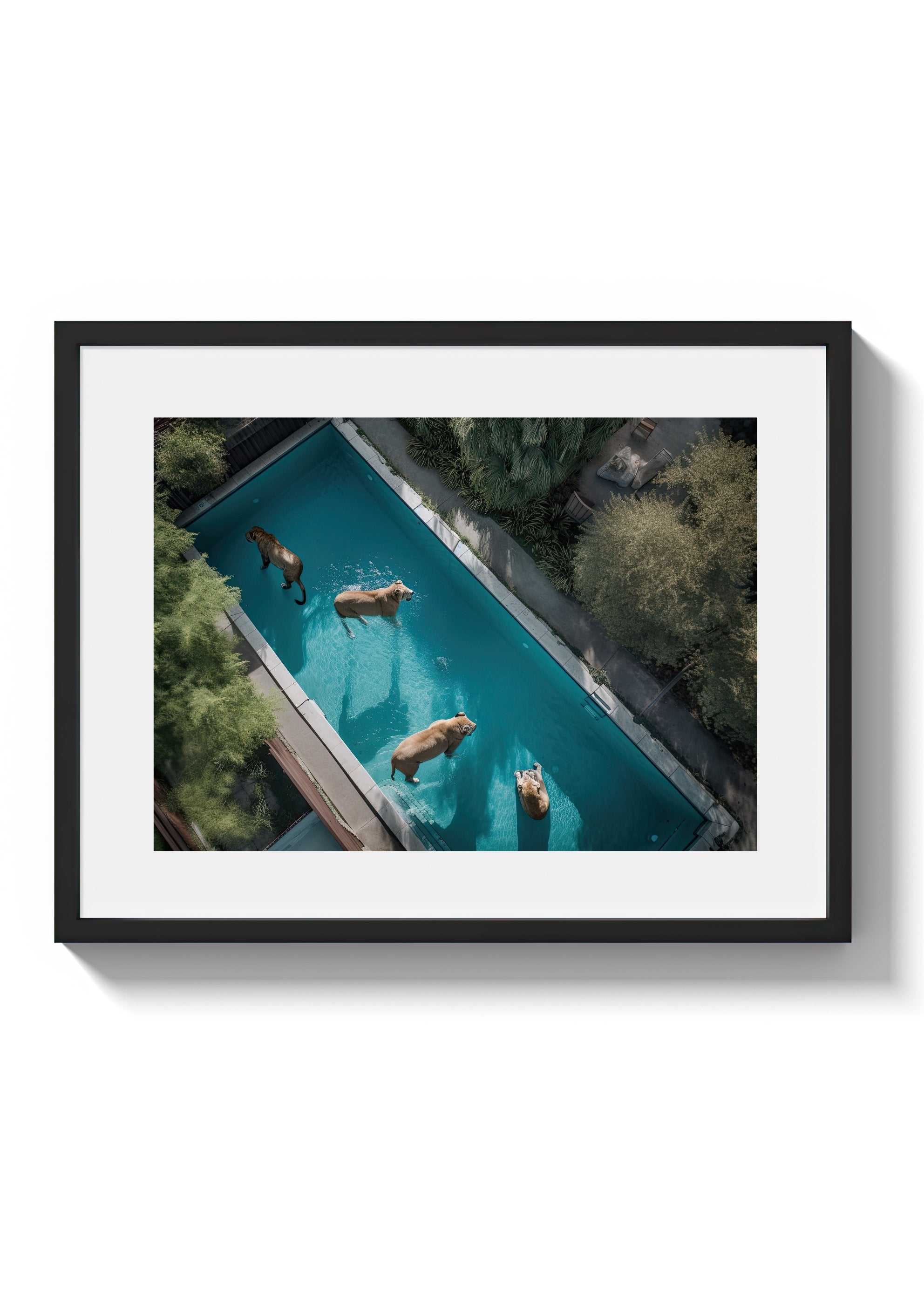 A LAZY SWIM *4 - DOTCOM ART