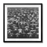 IMPOSTER - DOTCOM ART