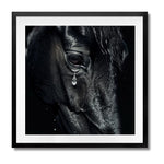 DIAMOND TEAR - DOTCOM ART