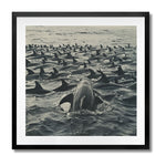 FISHING - DOTCOM ART