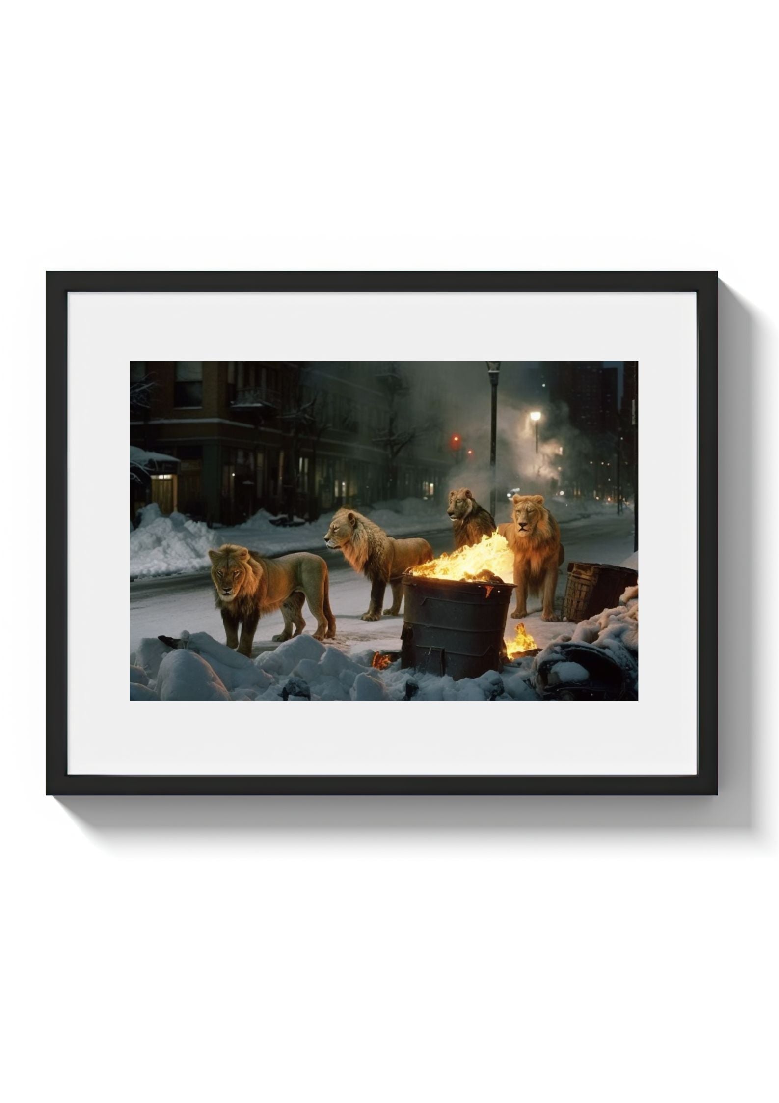 HARVARD - DOTCOM ART