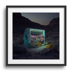 RHAPSODY *4 - DOTCOM ART