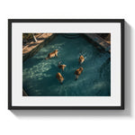 A LAZY SWIM *2 - DOTCOM ART