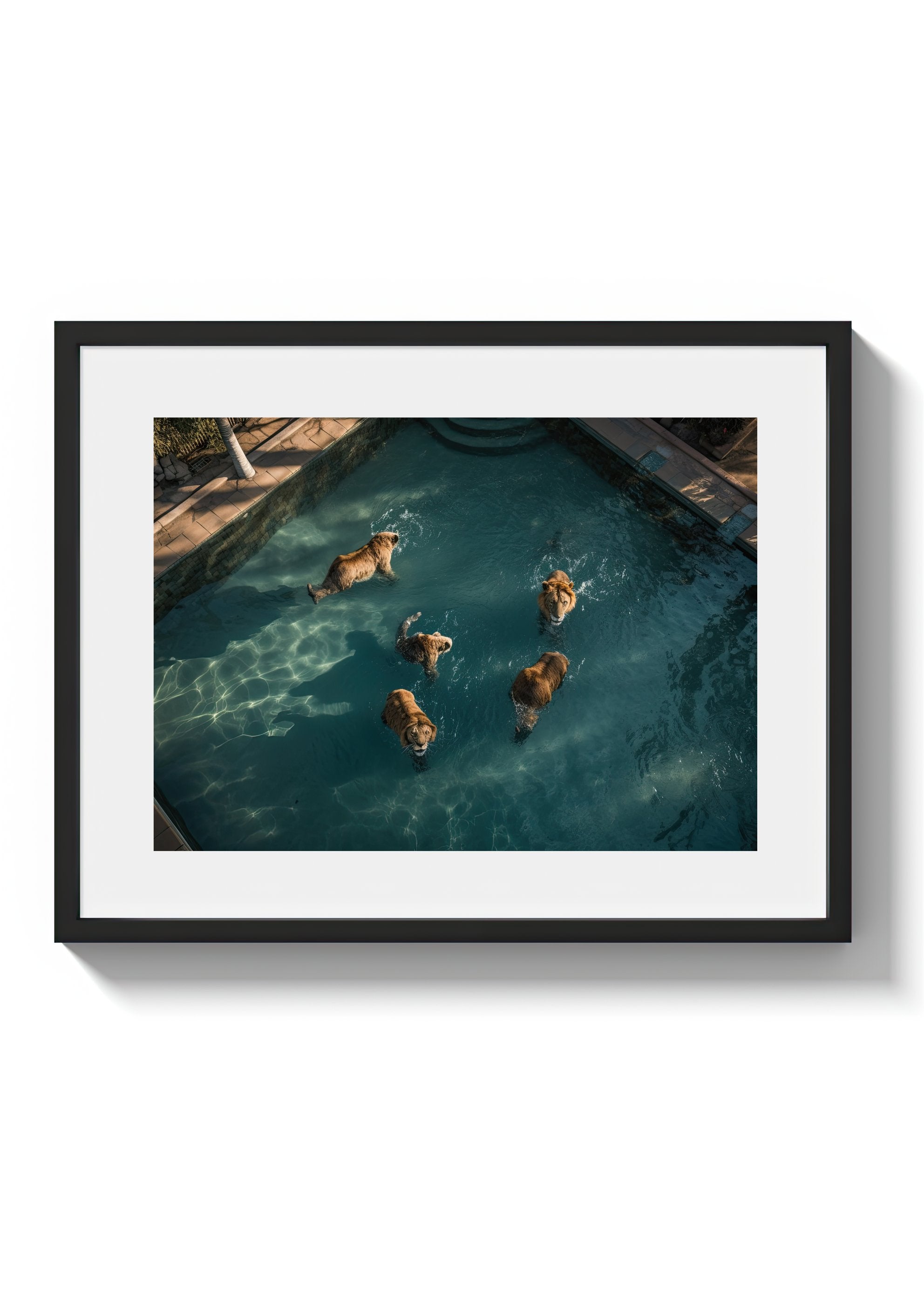 A LAZY SWIM *2 - DOTCOM ART