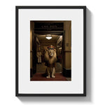 BELLHOP - DOTCOM ART