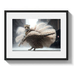 COPPELIA - DOTCOM ART