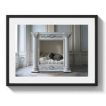 KITTY NAP - DOTCOM ART