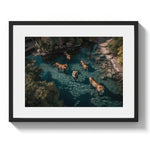 A LAZY SWIM *3 - DOTCOM ART