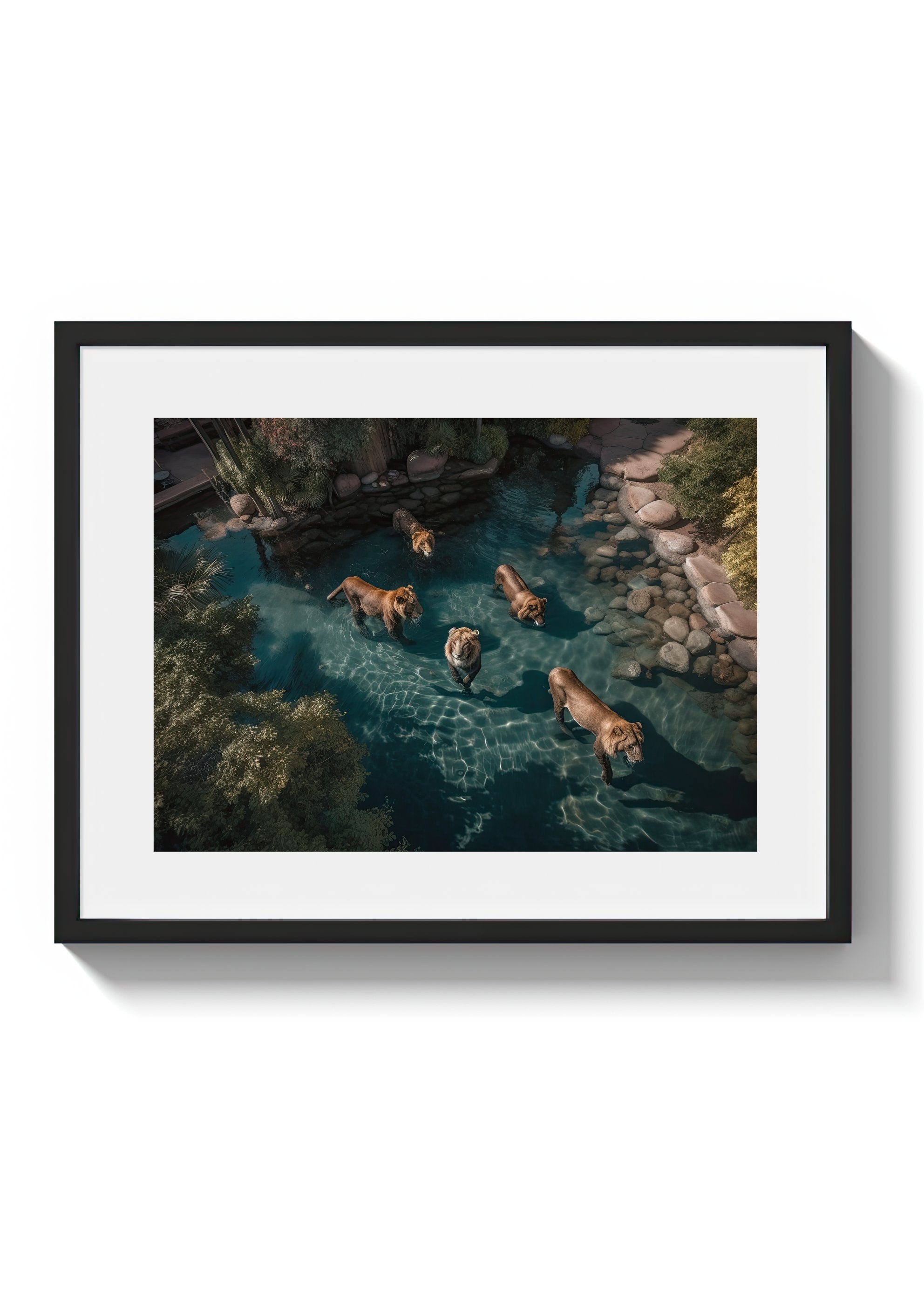 A LAZY SWIM *3 - DOTCOM ART