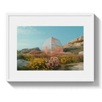 HOTHOUSE *1 - DOTCOM ART