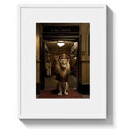 BELLHOP - DOTCOM ART