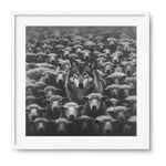 IMPOSTER - DOTCOM ART