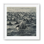 FISHING - DOTCOM ART