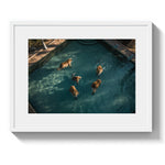 A LAZY SWIM *2 - DOTCOM ART