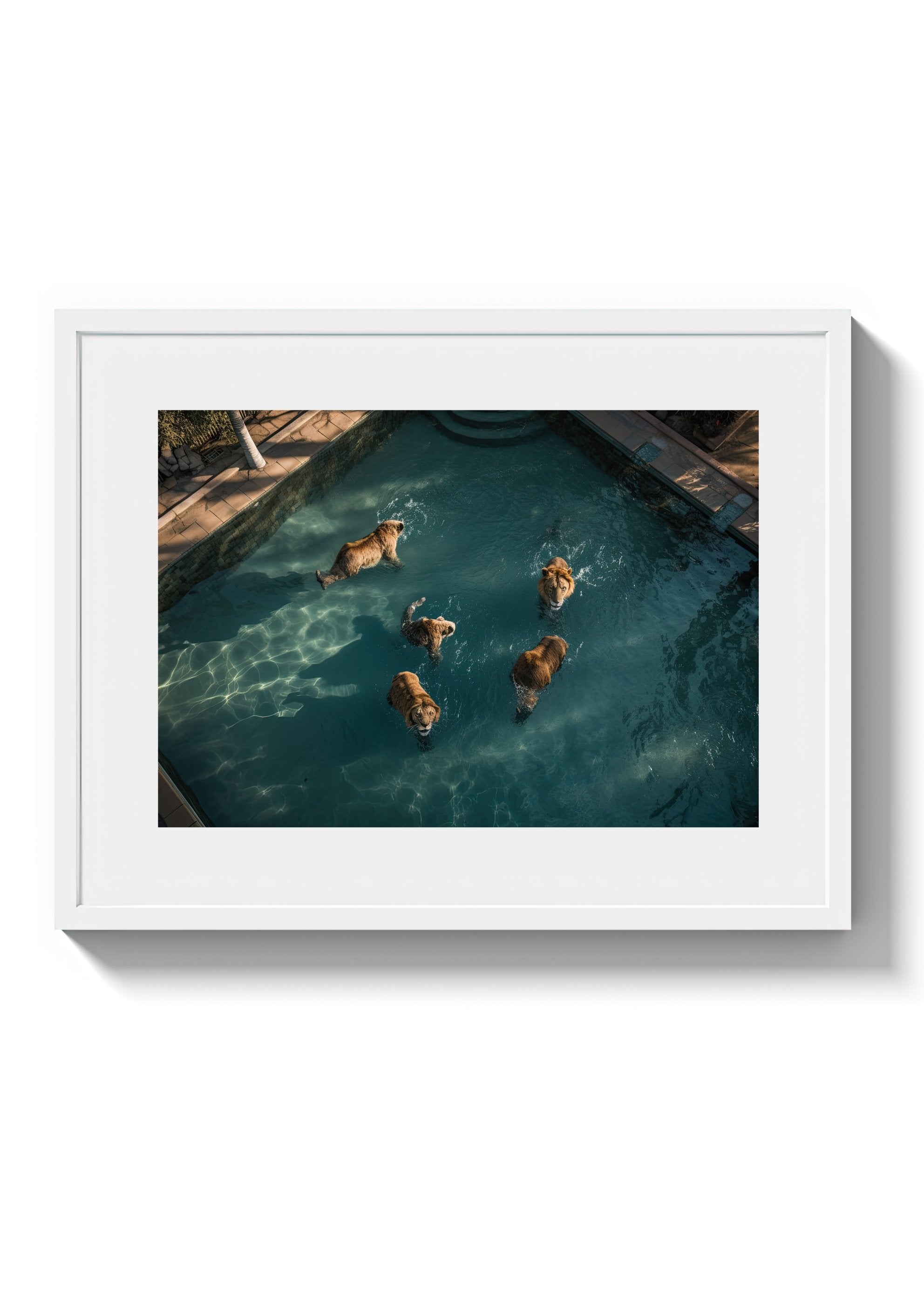 A LAZY SWIM *2 - DOTCOM ART