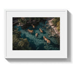 A LAZY SWIM *3 - DOTCOM ART