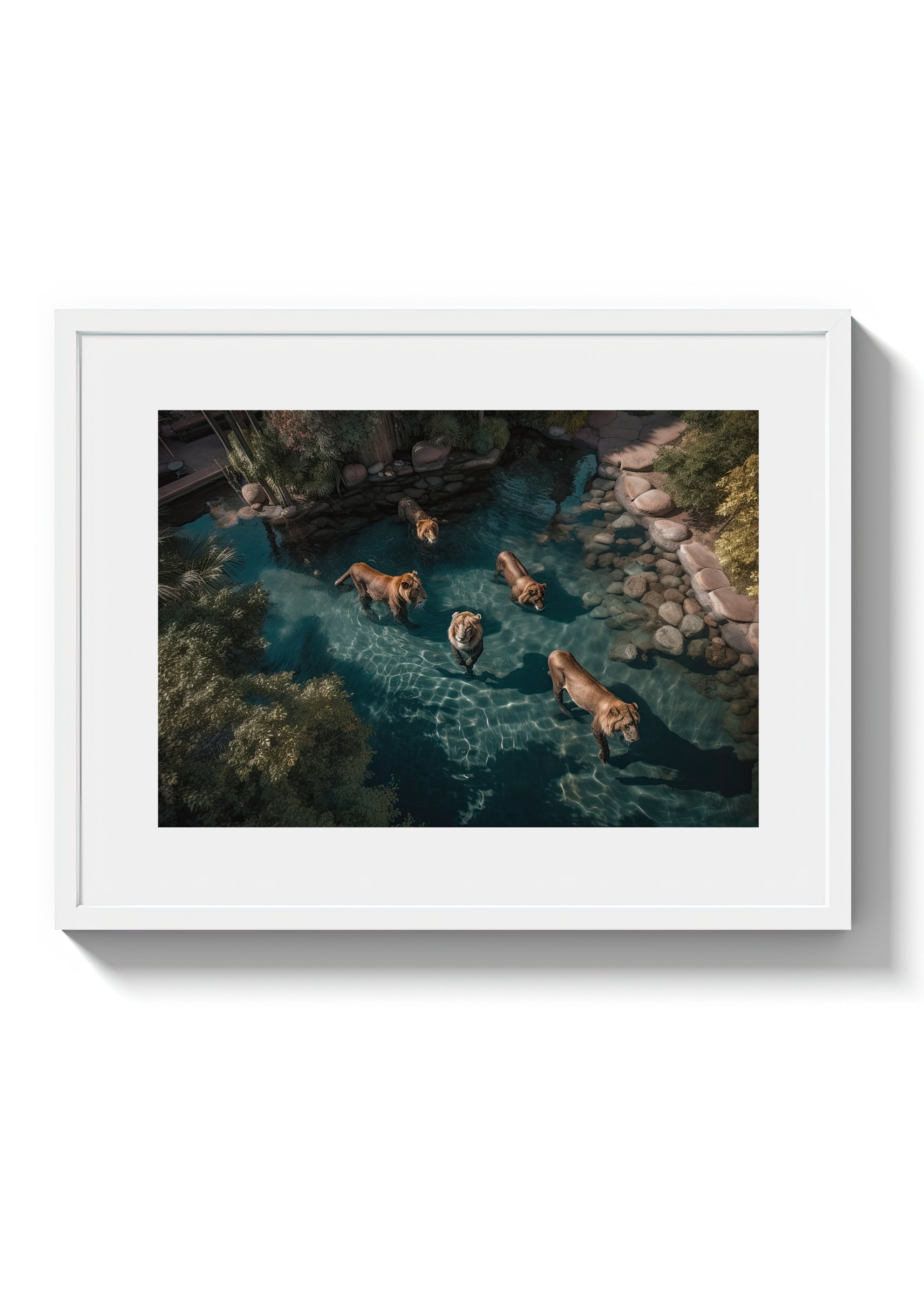 A LAZY SWIM *3 - DOTCOM ART