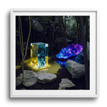 EXPANSE - DOTCOM ART