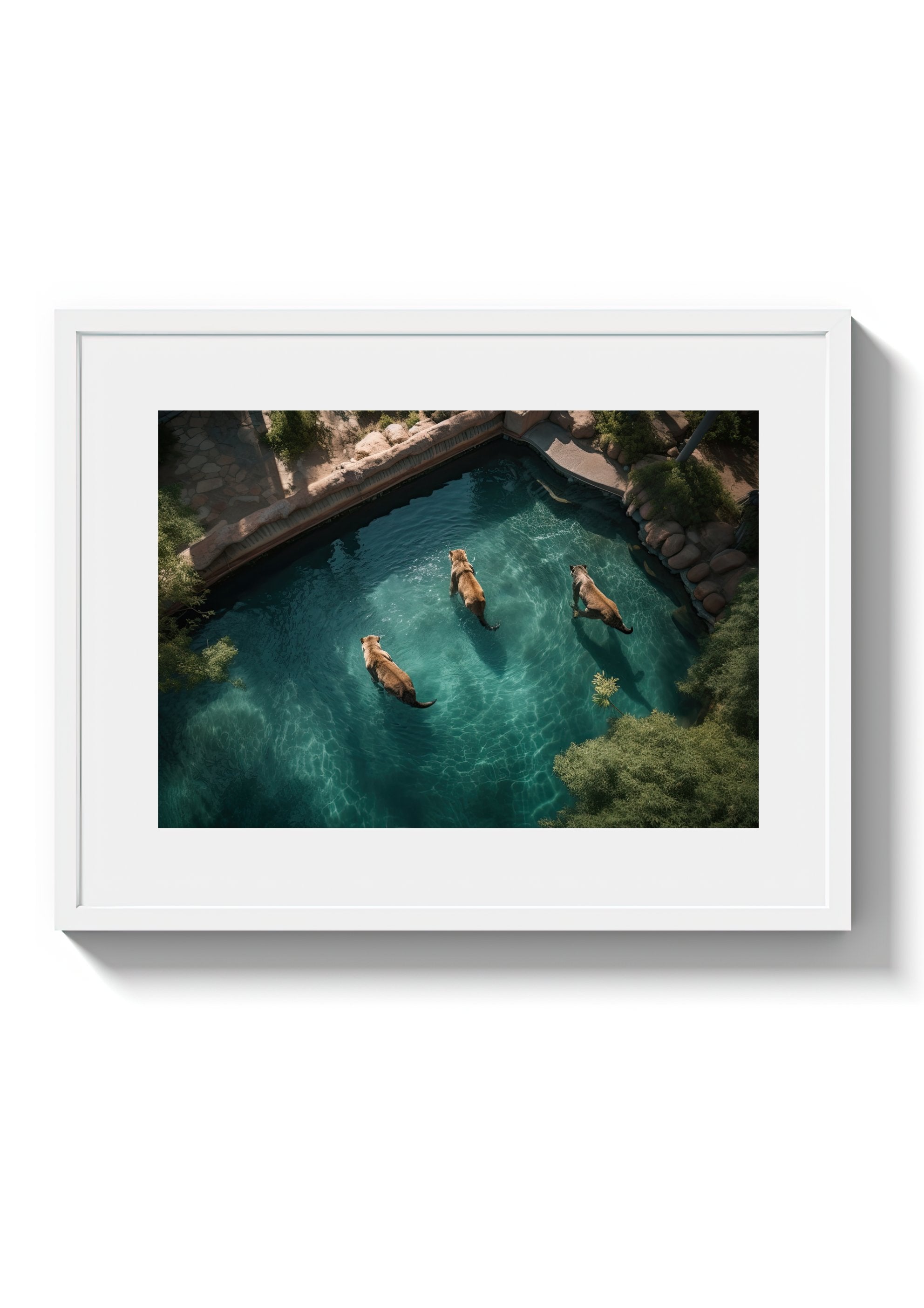 LAZY SWIM - DOTCOM ART