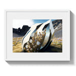 CHROME COCOON *1 - DOTCOM ART