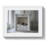 KITTY NAP - DOTCOM ART