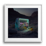 RHAPSODY *4 - DOTCOM ART