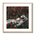 BED OF ROSES *3 - DOTCOM ART
