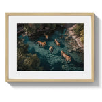 A LAZY SWIM *3 - DOTCOM ART