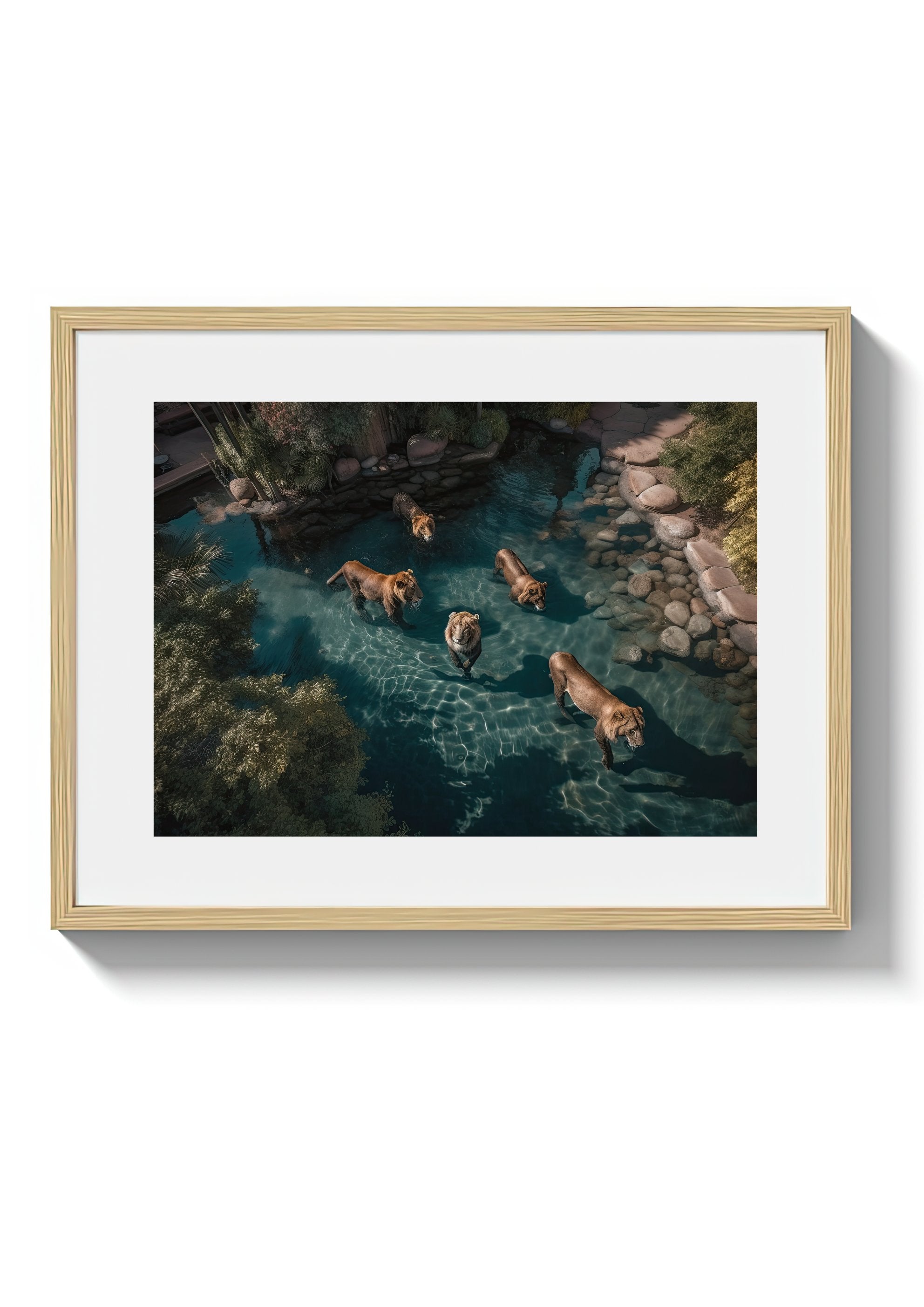 A LAZY SWIM *3 - DOTCOM ART