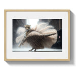 COPPELIA - DOTCOM ART