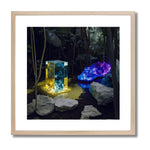 EXPANSE - DOTCOM ART