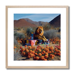 DOMAIN OF WILD *3 - DOTCOM ART