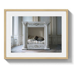 KITTY NAP - DOTCOM ART