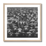 IMPOSTER - DOTCOM ART