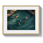 A LAZY SWIM *2 - DOTCOM ART