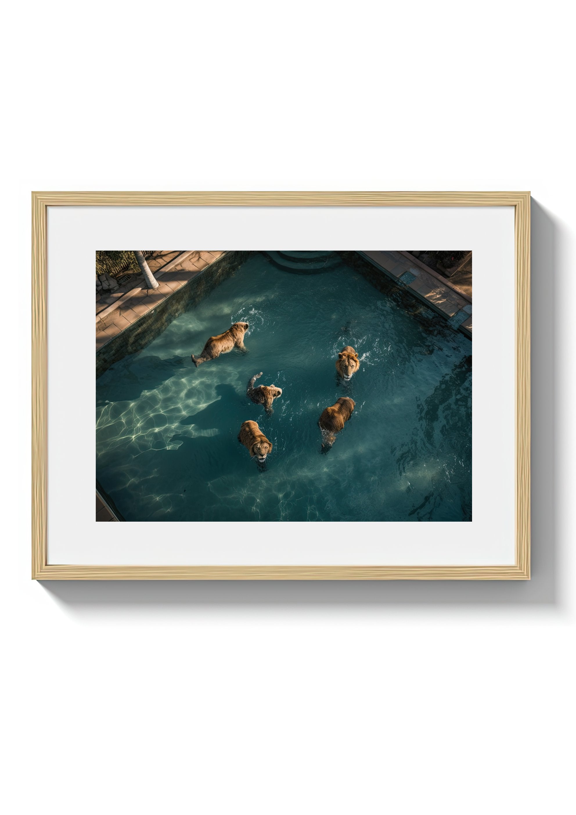 A LAZY SWIM *2 - DOTCOM ART