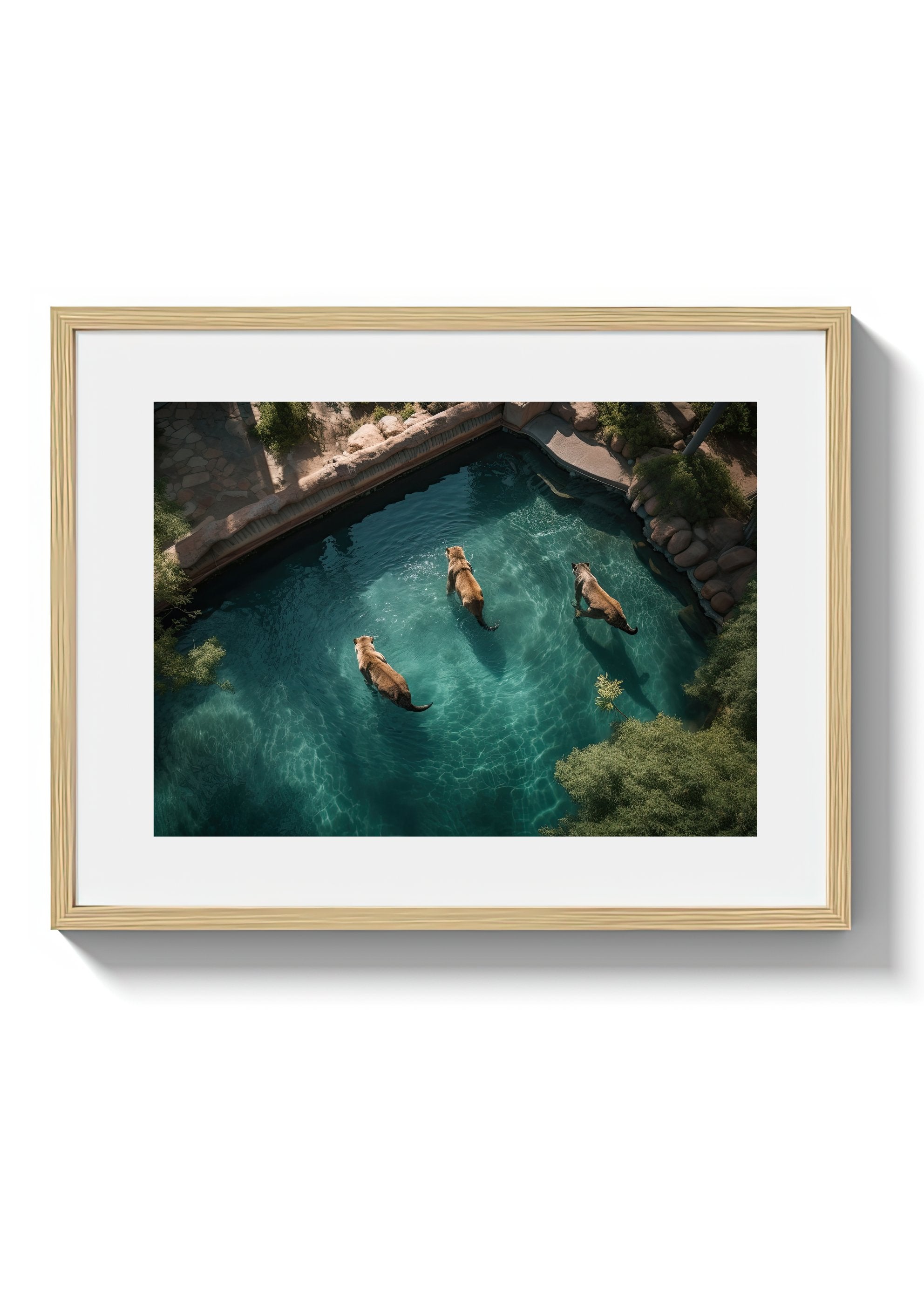 LAZY SWIM - DOTCOM ART