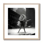 BROADWAY ON ICE *2 - DOTCOM ART