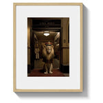 BELLHOP - DOTCOM ART