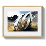 CHROME COCOON *1 - DOTCOM ART