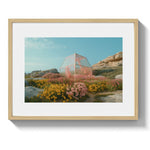 HOTHOUSE *1 - DOTCOM ART