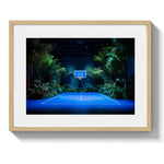 JUNGLE BALL - DOTCOM ART