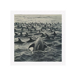 FISHING - DOTCOM ART