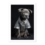 DOGS OF DIOR *3 - DOTCOM ART