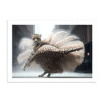 COPPELIA - DOTCOM ART