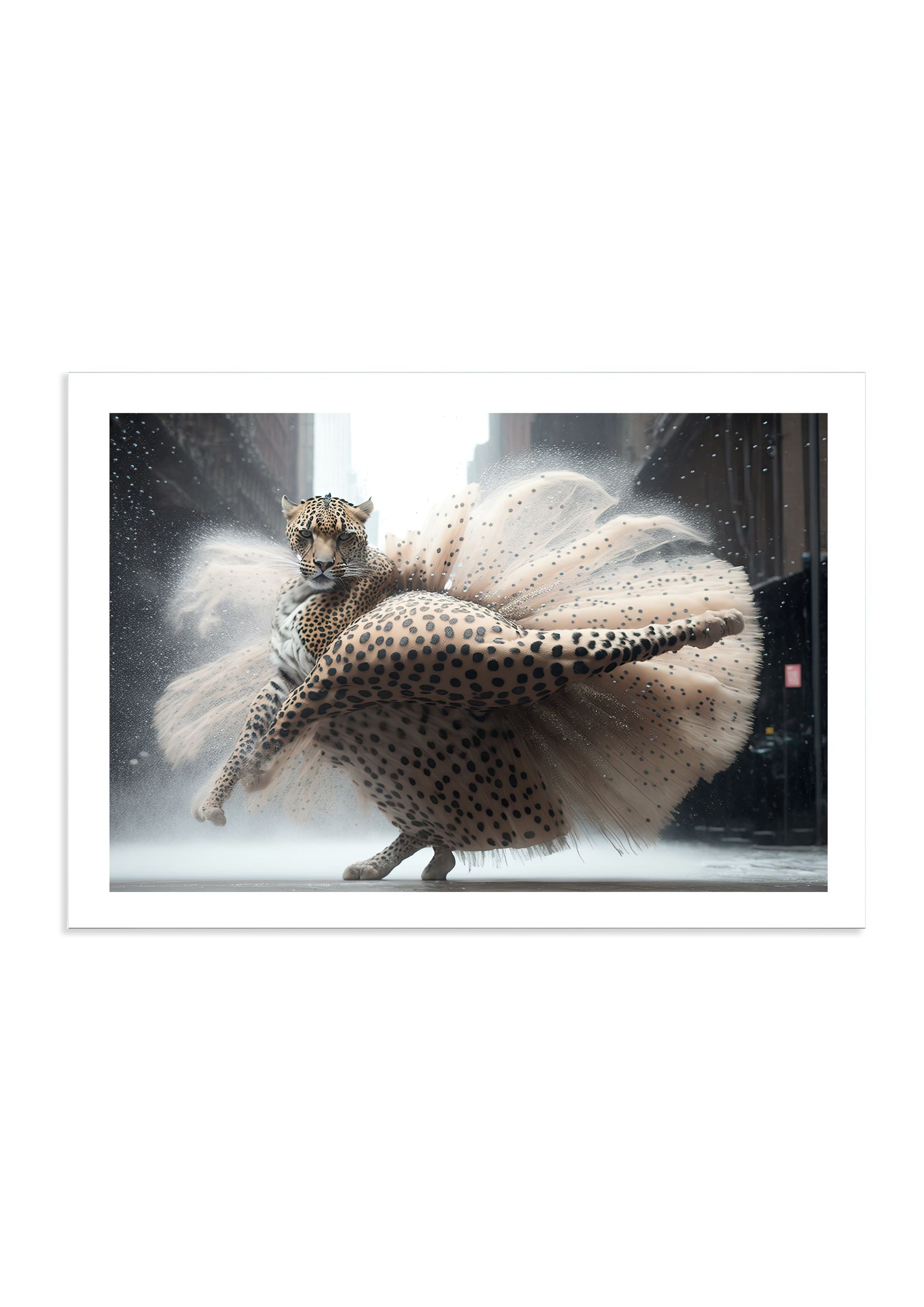 COPPELIA - DOTCOM ART