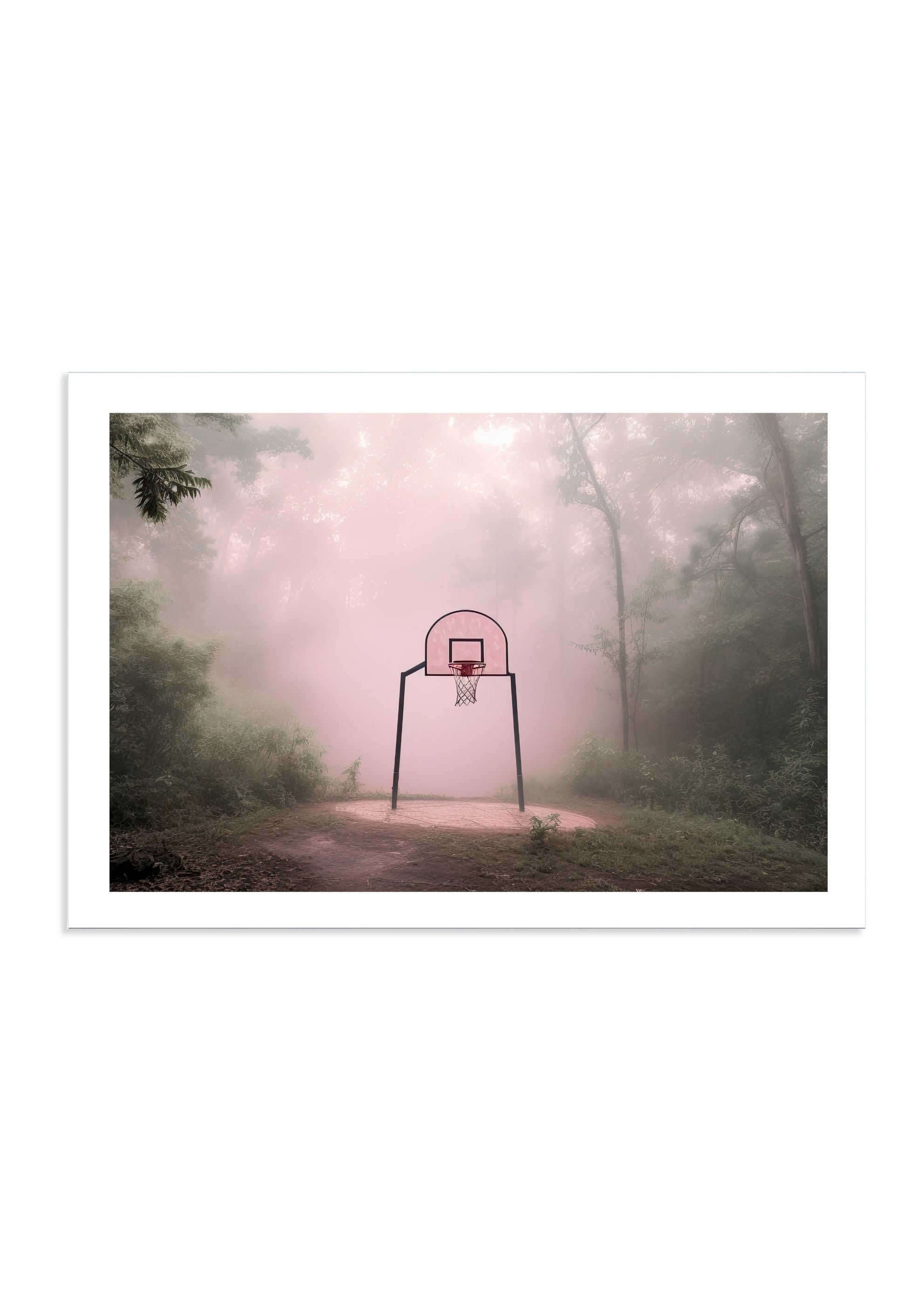 HOOPS *1 - DOTCOM ART