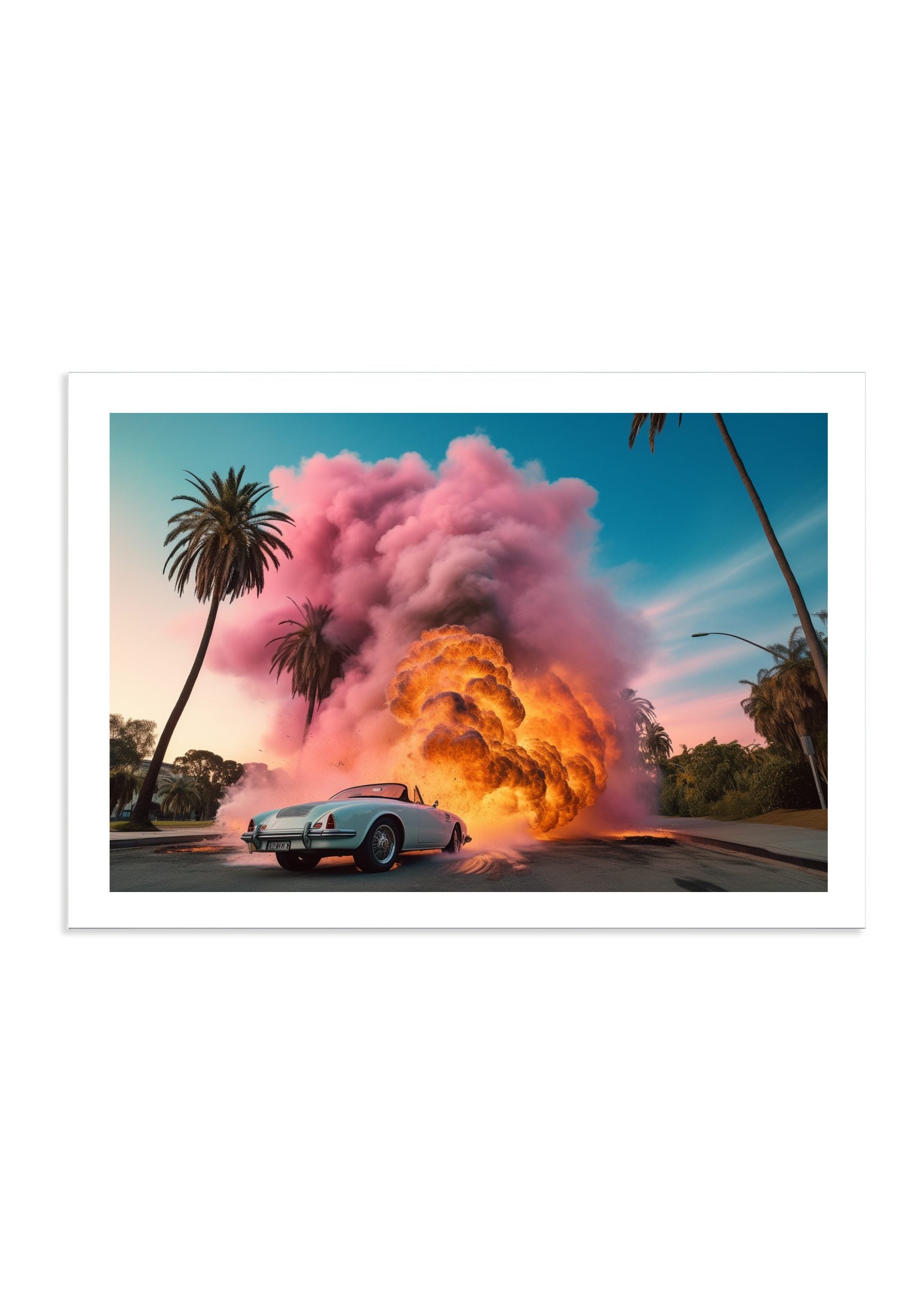 DOGTOWN *1 - DOTCOM ART