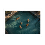 A LAZY SWIM *2 - DOTCOM ART