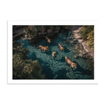 A LAZY SWIM *3 - DOTCOM ART